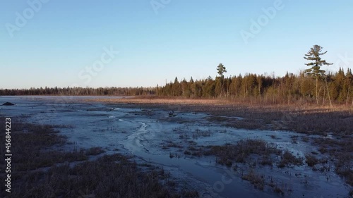 Wallpaper Mural Slow drone shot of a frozen swamp with sun reflecting off trees Torontodigital.ca