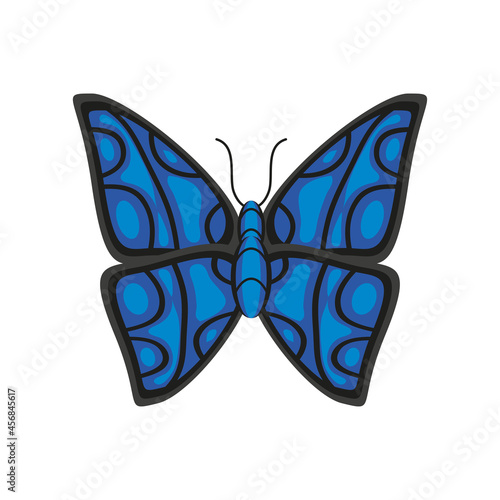 blue butterfly decoration