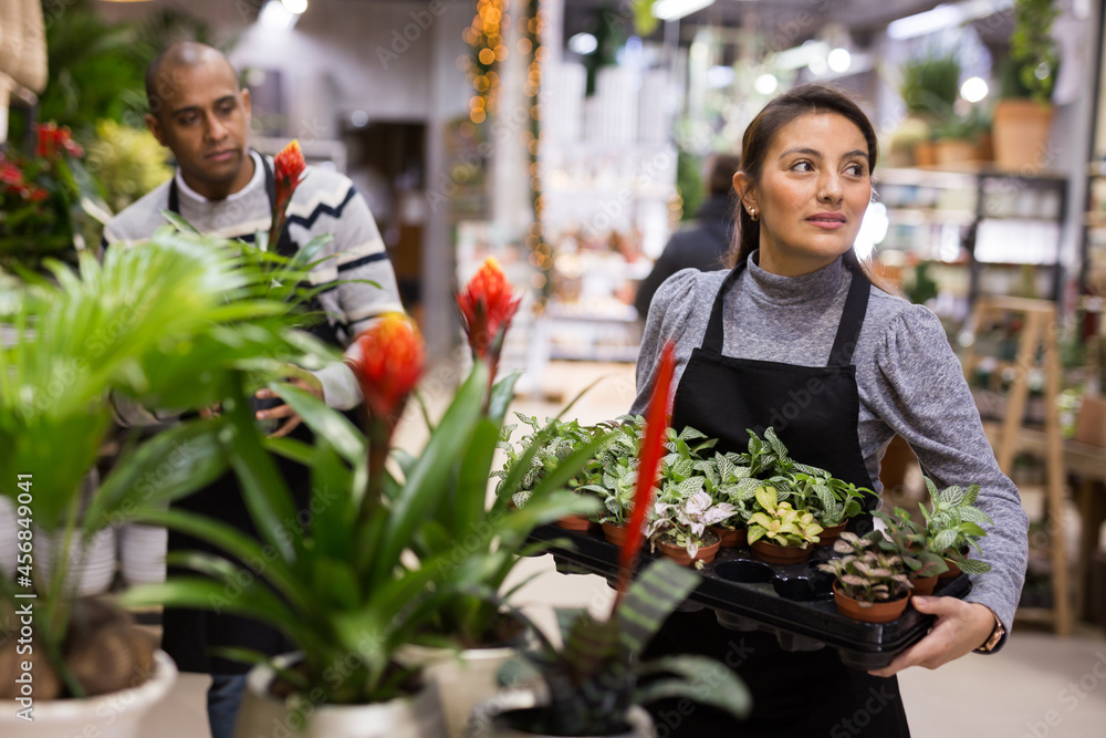 Fototapeta premium Portrait of skilled woman florist in protective mask arranging flowers in pots at flower shop