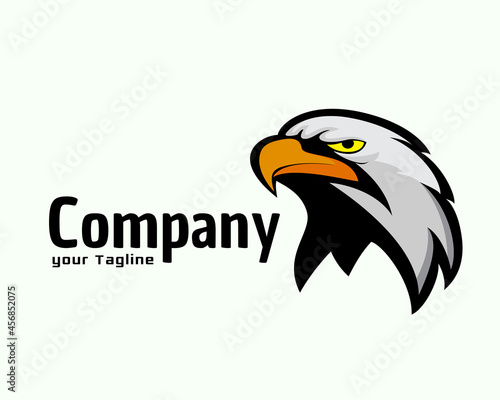 simple elegant sporty eagle hawk falcon head mascot logo template illustration