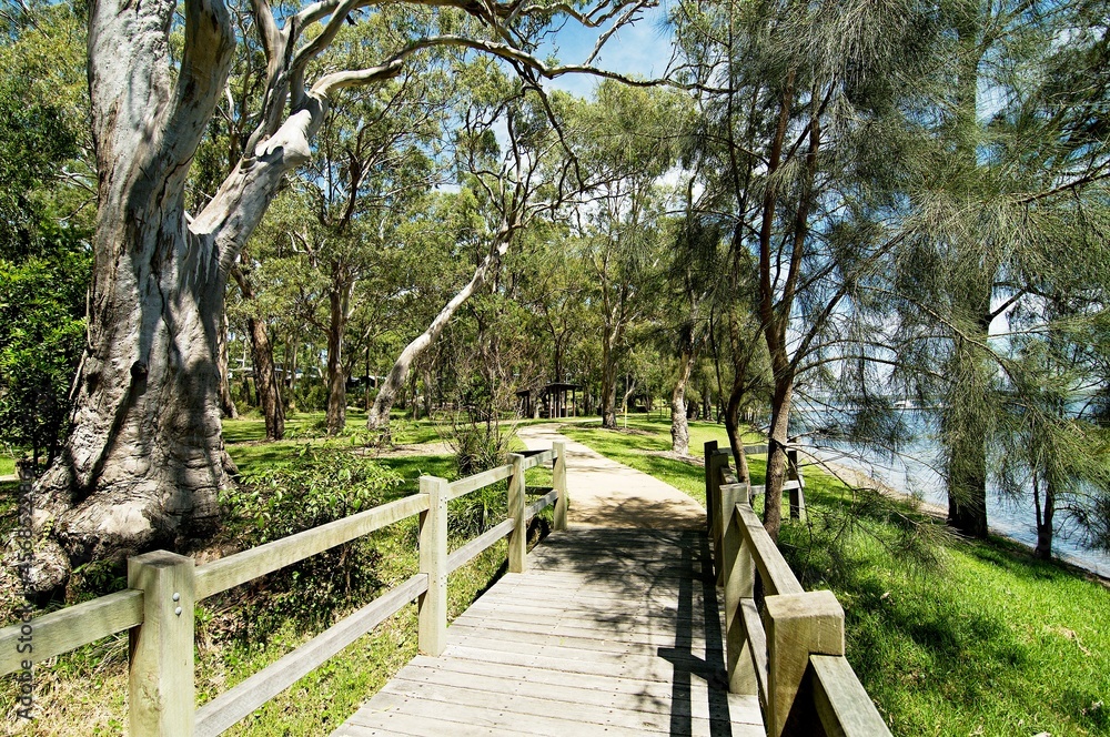 Gum Tree Walk Footbridge.