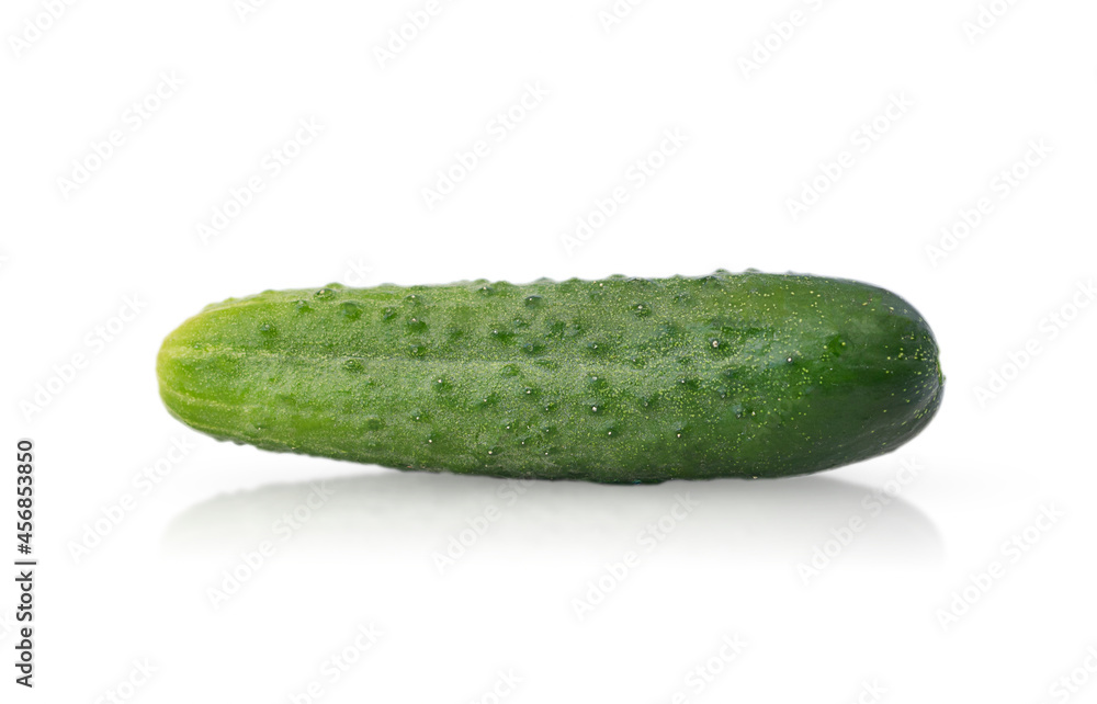 One Green Cucumber Vegetable Isolated One Green Cucumber Vegetable Isolated