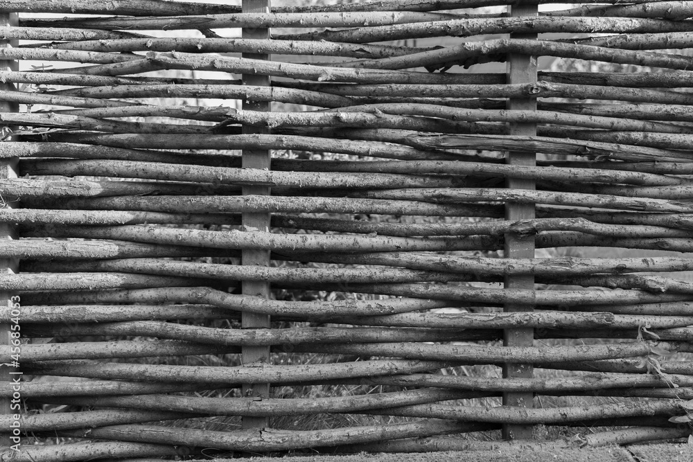 A fence made of woven tree branches. Black and white photo A fence made of woven tree branches. Black and white photo