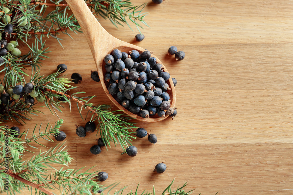 Wooden spoon with seeds of juniper. Wooden spoon with seeds of juniper.