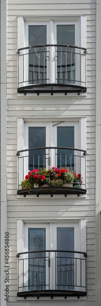 Balconies on a facade, one of them with colorful blossomed plants.