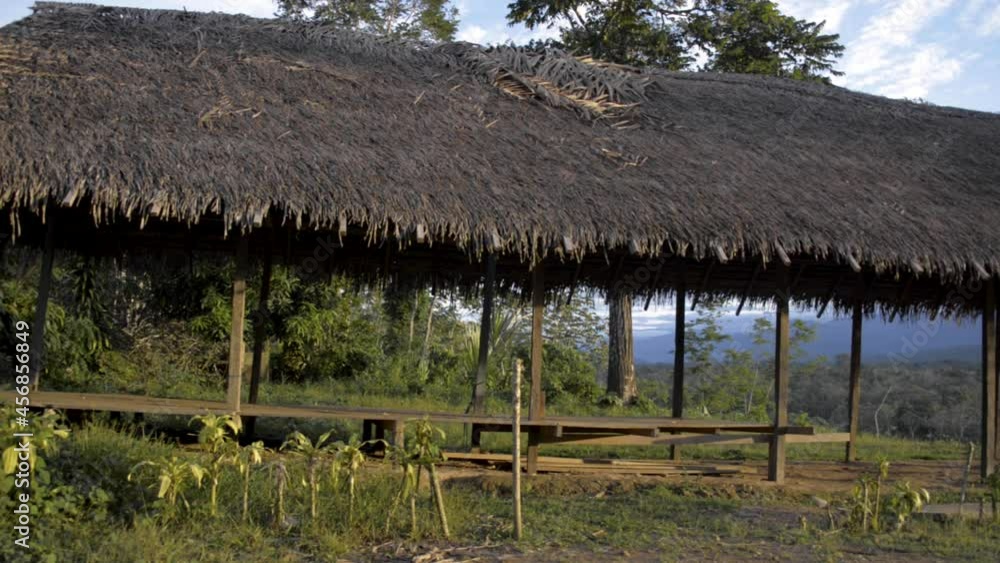 Ingenous hut in the Peruvian Amazon Ingenous hut in the Peruvian Amazon