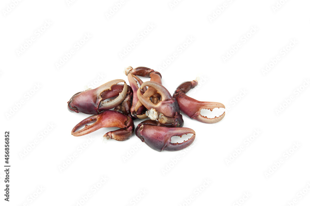 Fresh crab claws isolated on white background. Crab meat can be cooked in a variety of menus such as chili paste, kang om, stir-fried curry powder.Freshwater crab Fresh crab claws isolated on white background. Crab meat can be cooked in a variety of menus such as chili paste, kang om, stir-fried curry powder.Freshwater crab