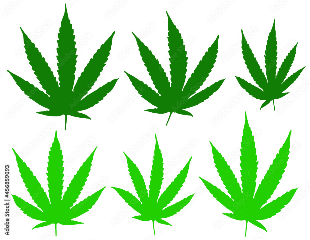 Green Cannabis Leaves Isolated
