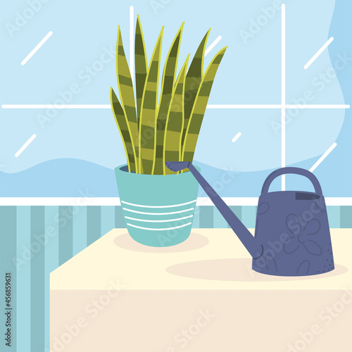 plan in pot and watering can