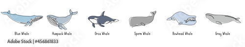 Single continuous line drawing of whales for marine company logo identity. Big fish mammal animal mascot concept for business logotype. Modern one line draw design illustration vector graphic
