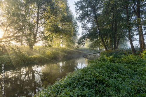 Beautiful morning landscape with sunrise over river. Early fresh morning landscape. Mist over the water. Small quiet river at dawn. Green overgrown coast meandering river.