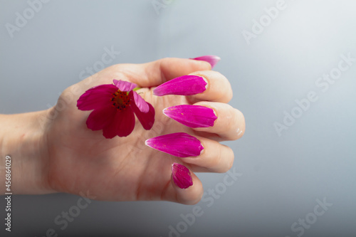 Nails made of crimson petals, natural manicure made of plant petals