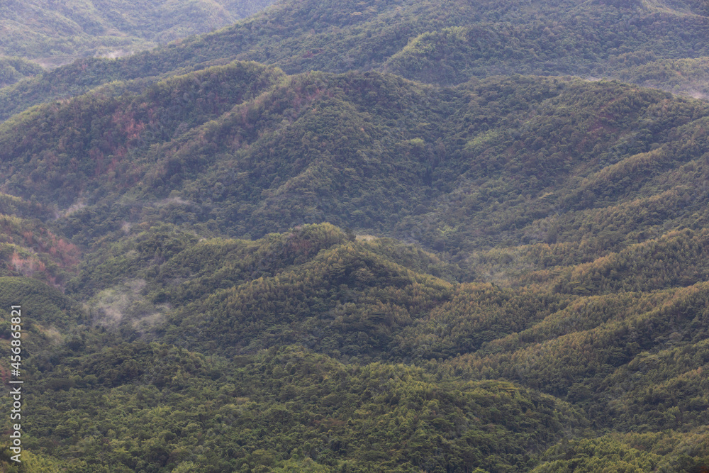 Mountain with moving mist for nature background at Phu Thap Buek, Phetchabun, Thailand Mountain with moving mist for nature background at Phu Thap Buek, Phetchabun, Thailand