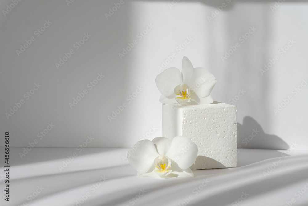 White square stand for presentations of packaging and cosmetics with delicate orchid flowers in sun. Concept of 3d podium for product demonstrations