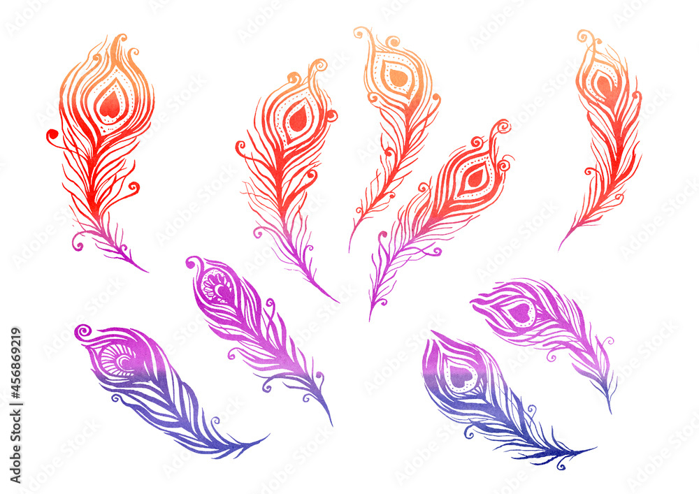 Fototapeta premium Watercolor multicolor Set of birds feather elements in the style of line art wedding theme on a white background. Doodle and scribble. Blue, orange, violet, pink, purple colorful peacock wings