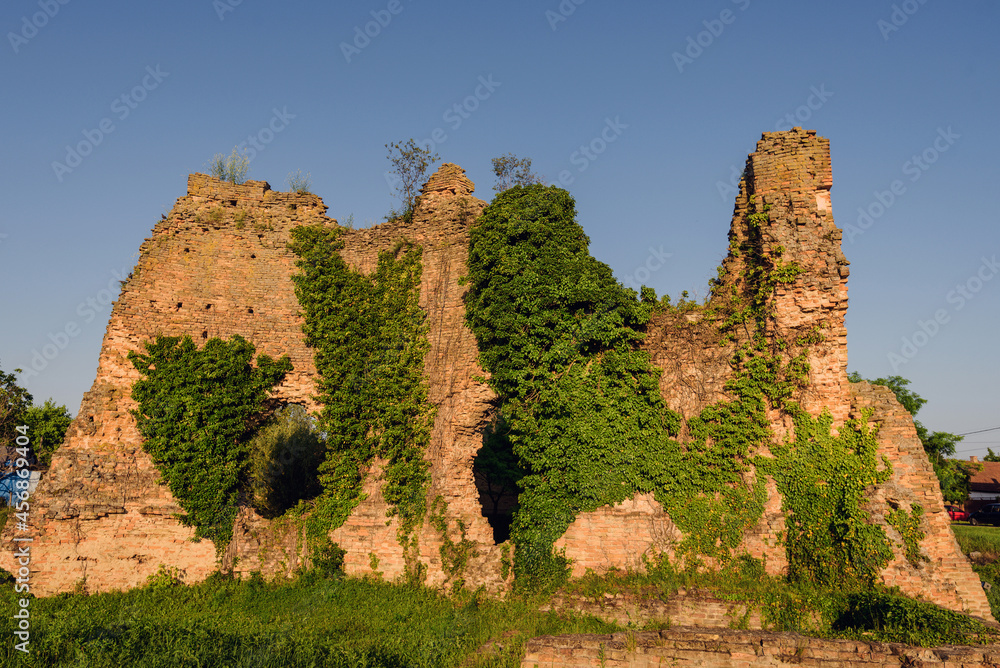 Bac Medieval Fortress Ruins with Ivy
