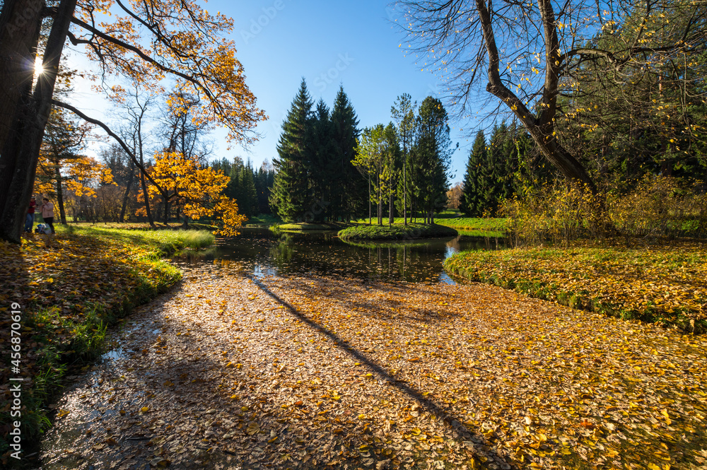 Naklejka premium View of city park