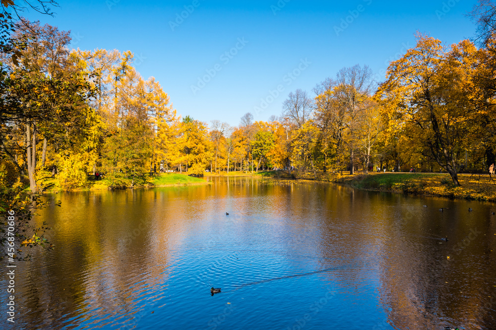 Obraz premium View of city park in autumn