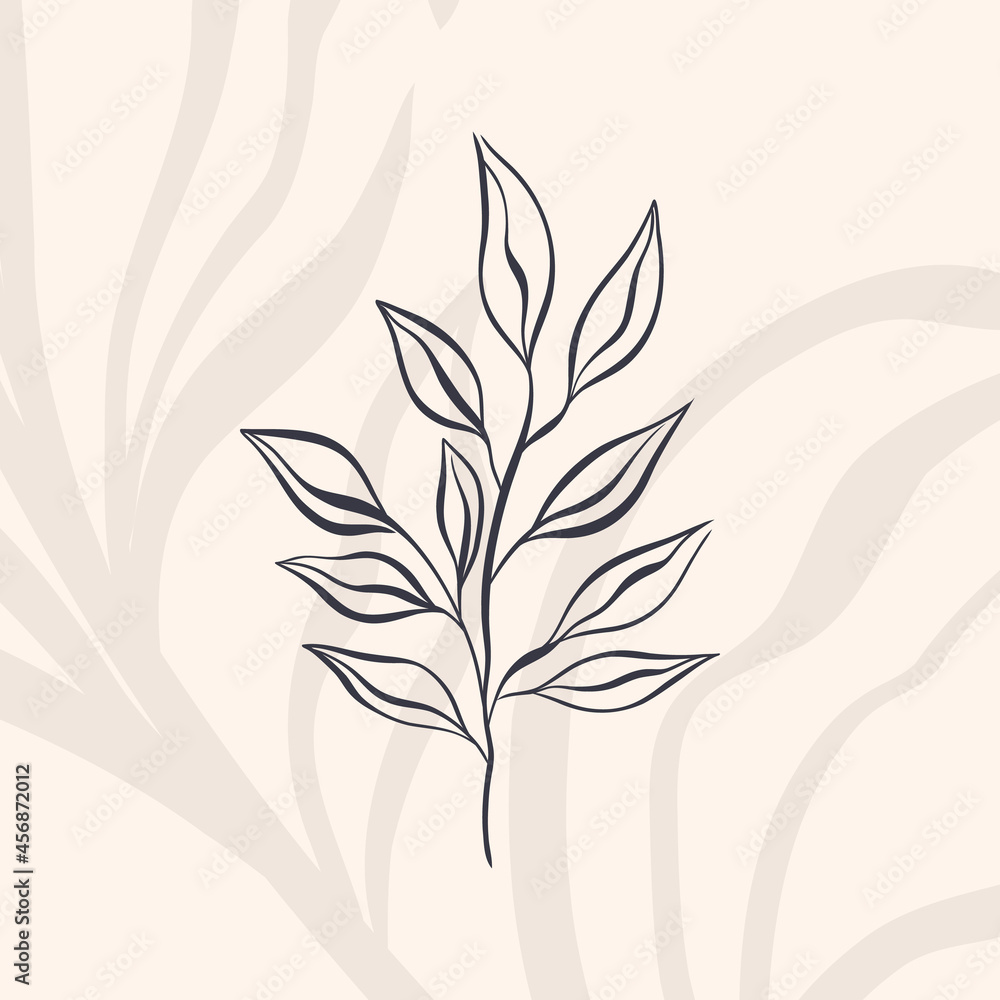 Plant nature hand drawn. Floral botanical element.Elegante vintage style.Isolated in white background.