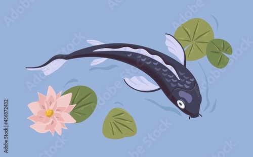 Japanese koi fish swimming in Asian pond with flower. Decorative carp in Japan water garden. Traditional oriental aquatic animal with waterlily and leaves. Colored flat vector illustration