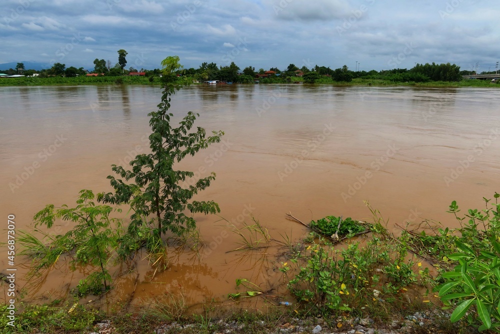 Obraz premium lake in the forest