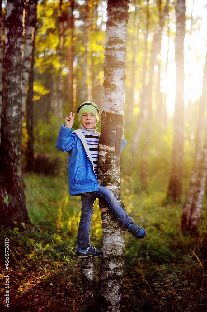 a boy in a blue jacket walks in the autumn forest