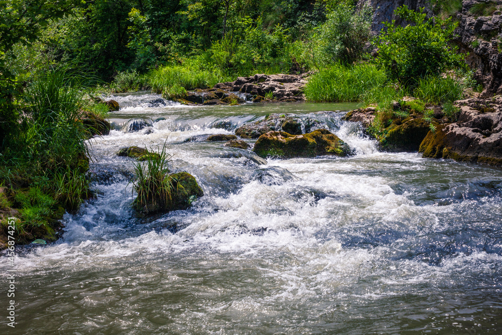fast winding small mountain river flows among stones and gra - obrazy, fototapety, plakaty 
