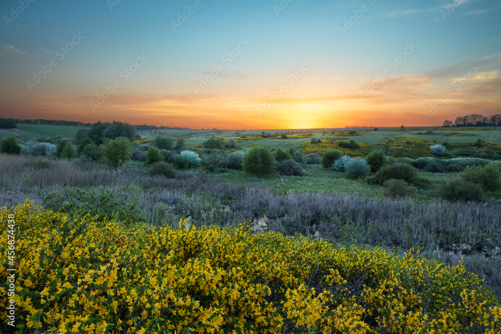 Fototapeta premium sunset over the field