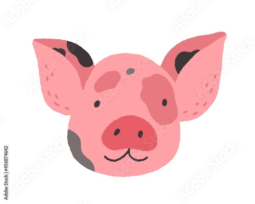 Face of cute baby mini pig. Funny happy piglets head portrait. Adorable piggy snout. Amusing farm animal avatar in doodle style. Flat vector illustration isolated on white background
