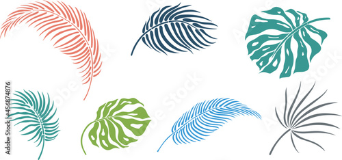 Leaves isolated on white. Tropical leaves. Hand drawn vector illustration