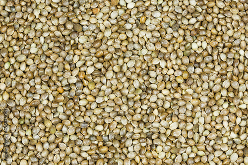 Close-up. Cannabis marijuana seeds (hemp) background. Healthy cannabis seeds