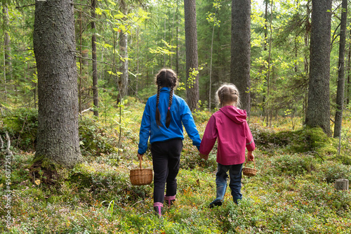 Two little girls carrying wicker baskets for gathering mushrooms and berries hiking in a forest in autumn season, back view 