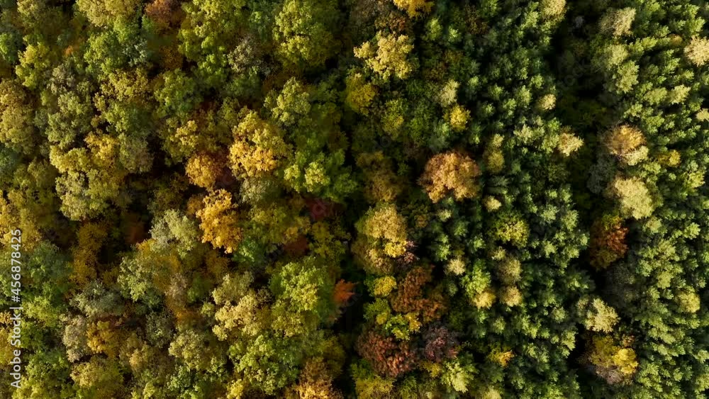 Picturesque autumn forest from the air and from a bird's eye view drone. Change of colors. Seasons. Trees of different colors. Shooting nature in autumn from the air. Summer turns into autumn. Picturesque autumn forest from the air and from a bird's eye view drone. Change of colors. Seasons. Trees of different colors. Shooting nature in autumn from the air. Summer turns into autumn.