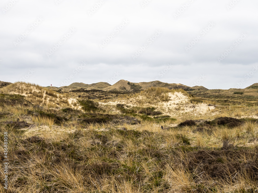 Sand dune landscape called Ladder to heaven on the island of Amrum, Germany. Sand dune landscape called Ladder to heaven on the island of Amrum, Germany.