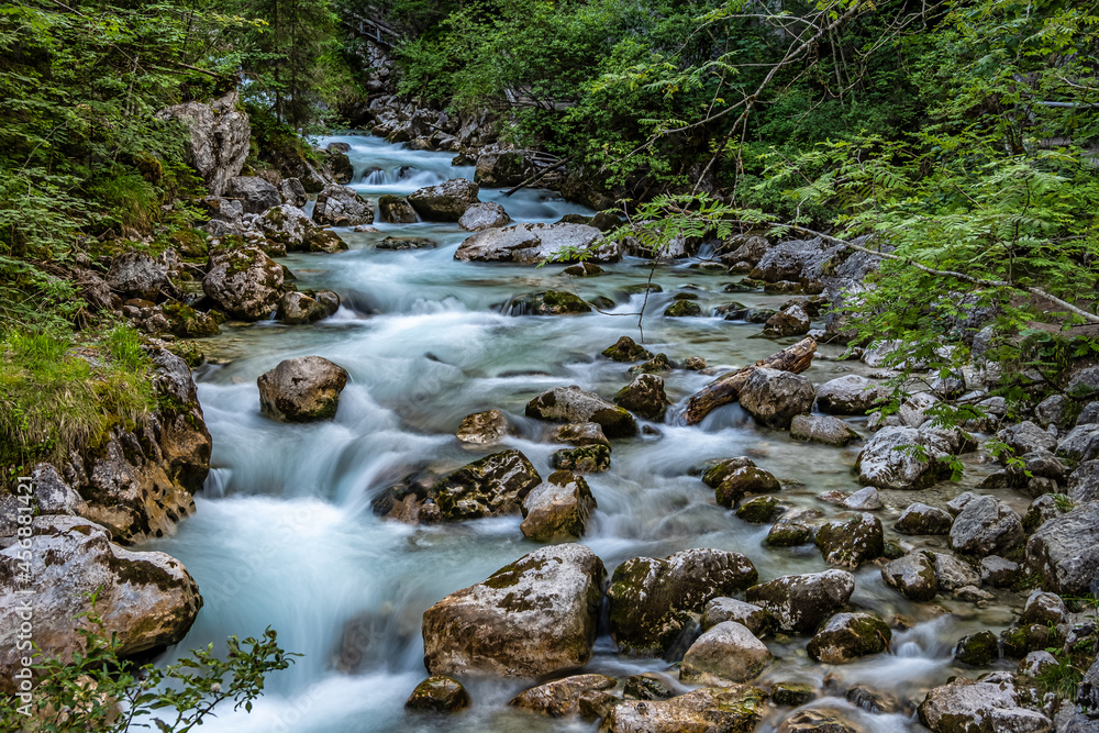 Magic Forest Zauberwald at Lake Hintersee with Creek Ramsauer Ache. National Park Berchtesgadener Land, Germany Magic Forest Zauberwald at Lake Hintersee with Creek Ramsauer Ache. National Park Berchtesgadener Land, Germany