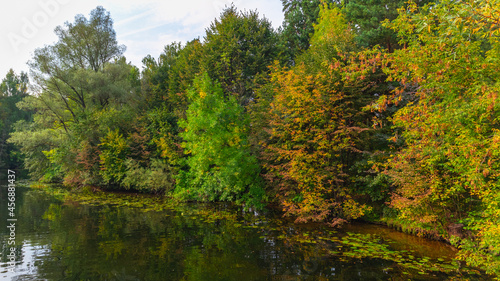 Colorful autumn forest on the lake earplug