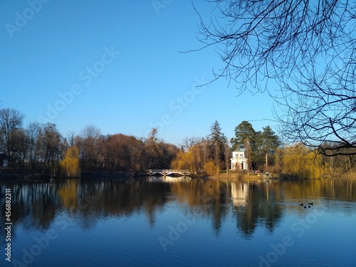 autumn landscape with trees and lake
