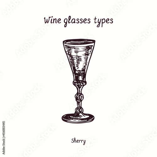 Wine glasses types collection, Sherry. Ink black and white doodle drawing in woodcut style.