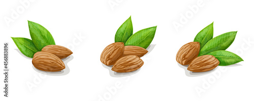 Almonds with leaves on white background. Vector Illustration.