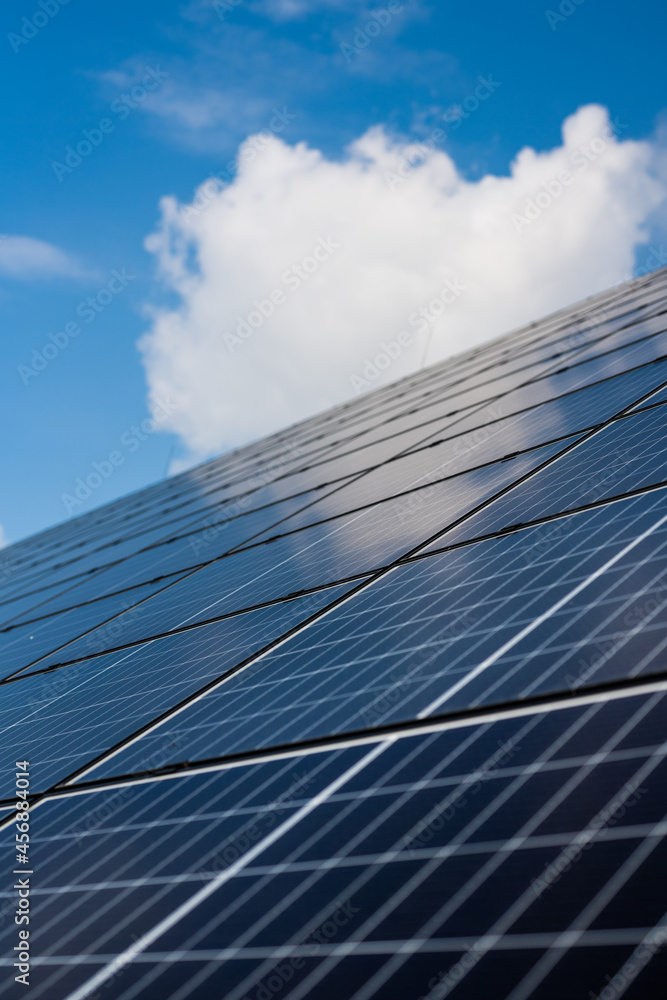 photovoltaic - recycling - renewal of photovoltaic panels - service