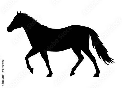 Horse, stallion or colt flat vector icon for apps and websites © martialred
