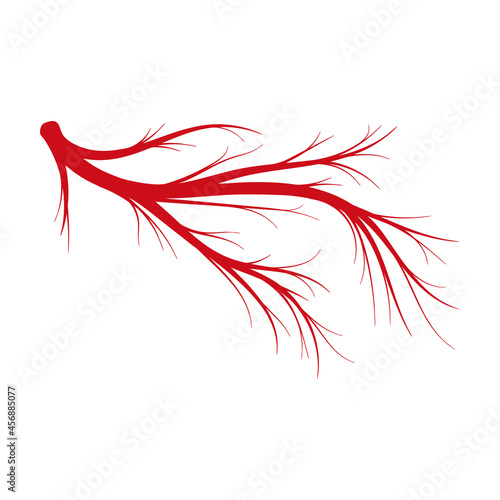 Vein of human vector cartoon icon. Vector illustration artery of blood on white background. Isolated cartoon illustration icon of vein of human .