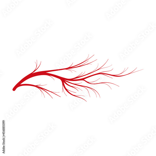 Vein of human vector cartoon icon. Vector illustration artery of blood on white background. Isolated cartoon illustration icon of vein of human .