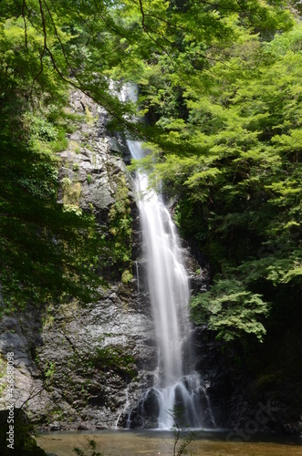 夏の箕面大滝