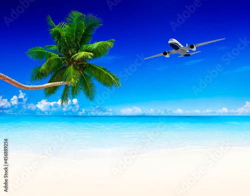 airplane and beach blue sky with palm tree.