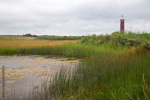 Dune pond with lighthouse Westhoofd in background;, Ouddorp, Goeree-Overflakkee, South Holland, Netherlands