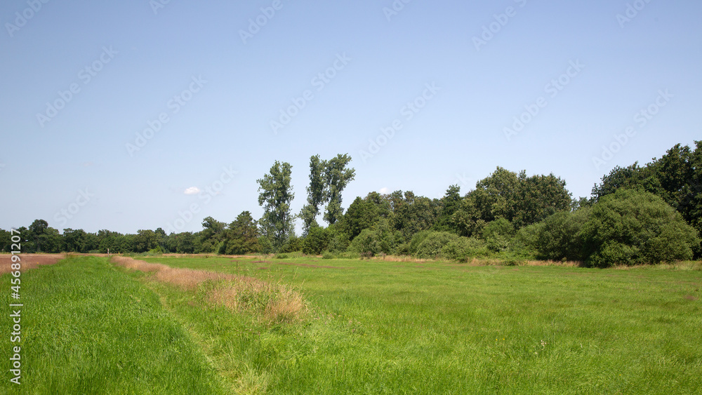 Dutch nature reserve Beekberger Woud; Apeldoorn, Gelderland, Netherlands