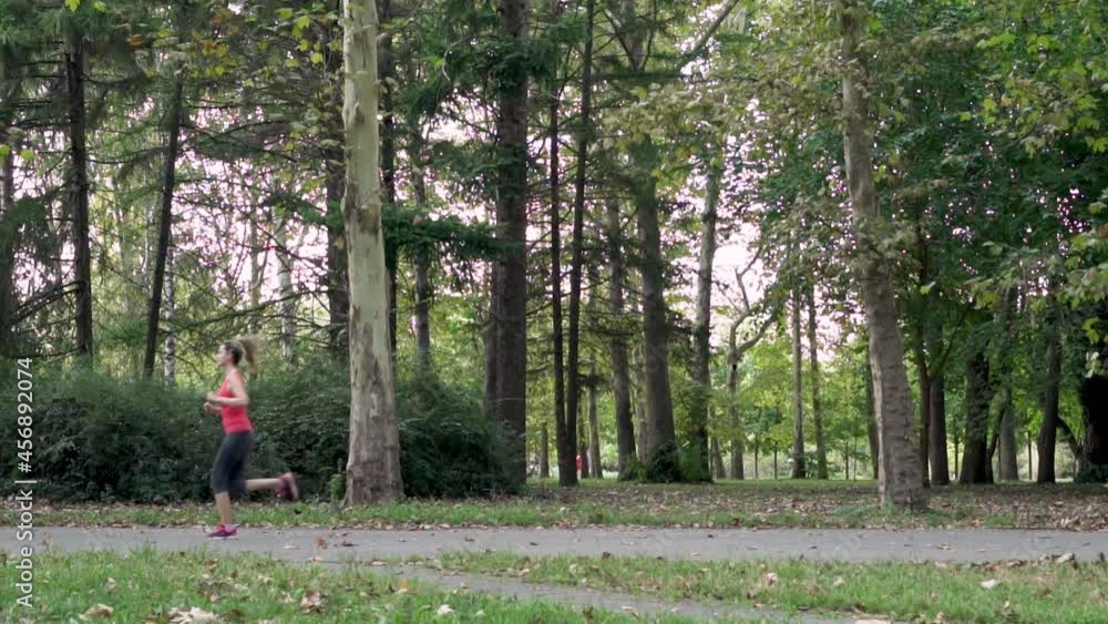 Female Runner Runs in the Park. Jogging in the Park. Healthy Lifestyle. Female Runner Runs in the Park. Jogging in the Park. Healthy Lifestyle.