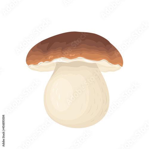 Mushroom isolated on white background. Vector cartoon flat illustration. Icon of Porcini or Boletus.