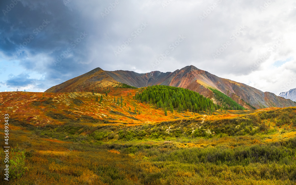 Dramatic autumn mountain landscape. Panoramic landscape with the edge of a coniferous forest and mountains in a light fog. Altai Mountains.